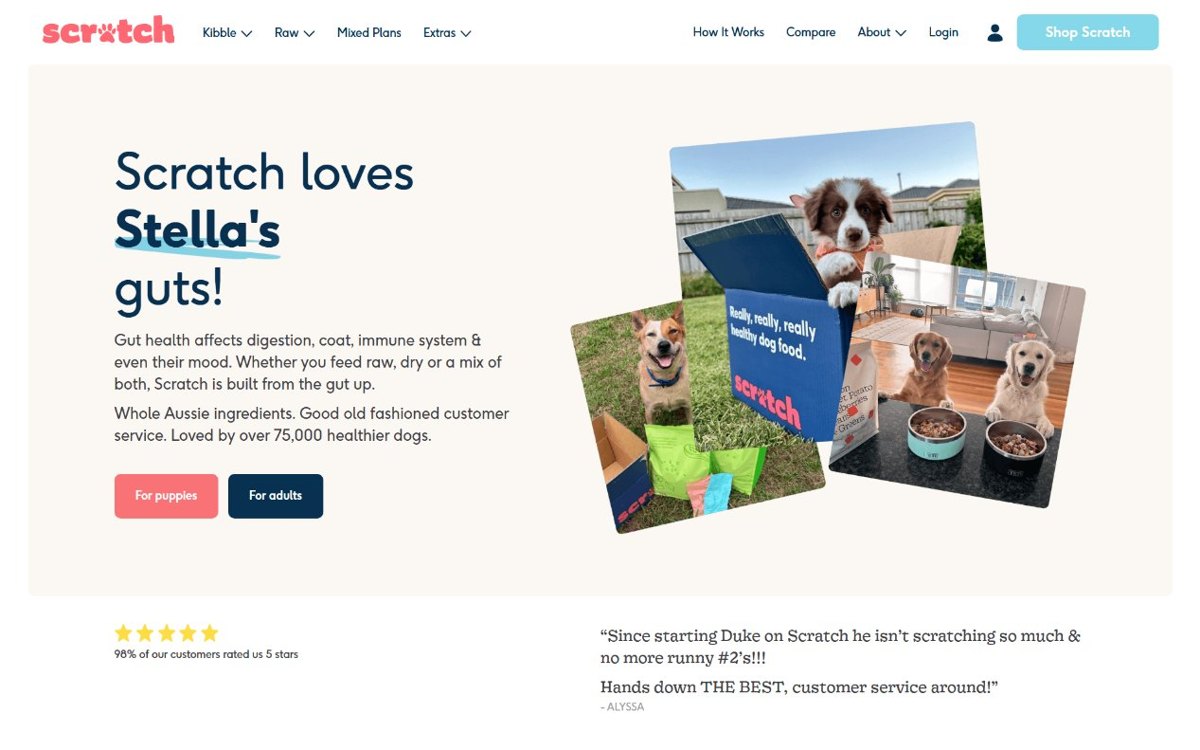 Scratch Pet Food WordPress site built by Nexo
